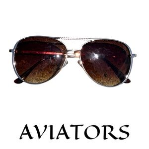 Aviators Brown Sunglasses